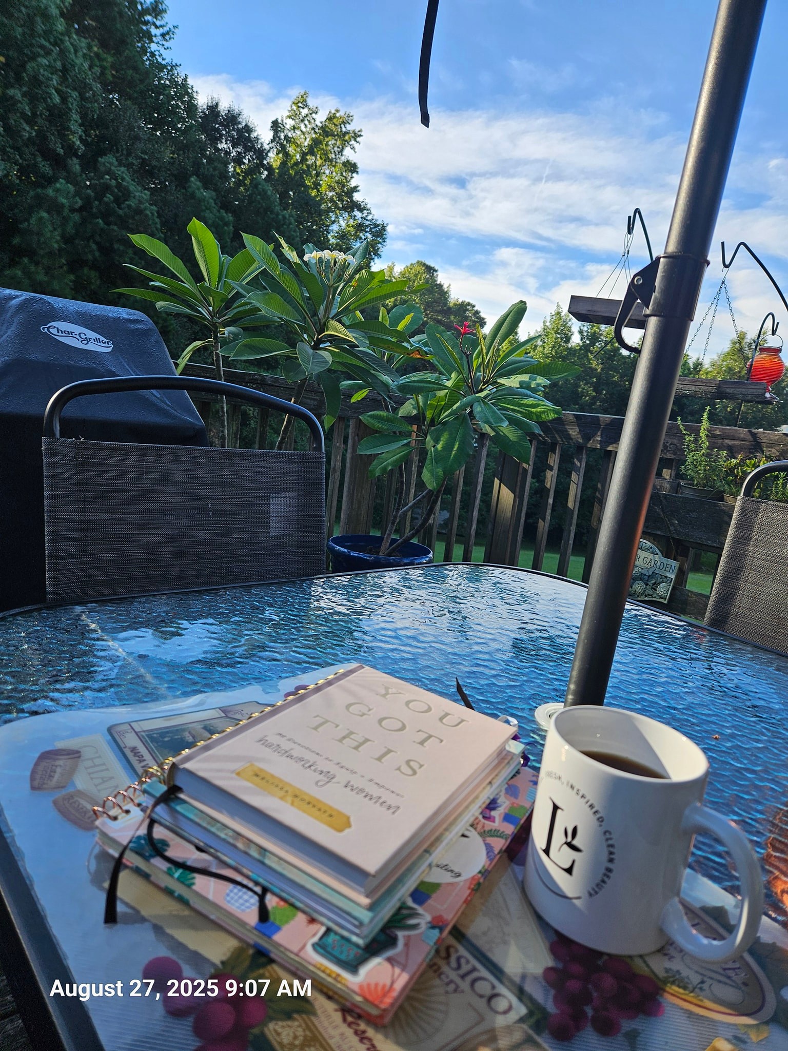 Good morning from the deck! 
It's a cool 67 degrees. Partly cloudy with a side of sunshine.
The hummingbirds are talking to me as they feed. What a wonderful sound!

Going to take in the quiet before I start my day. 

May your Wednesday be peaceful and full of sunshine.